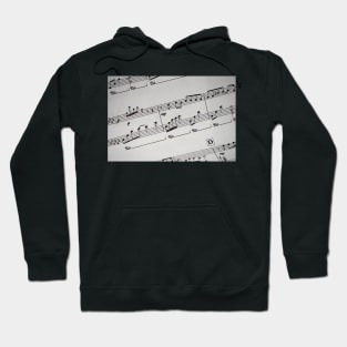 Musical Notes Hoodie